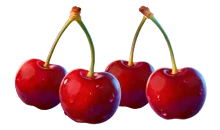 Cherry symbol in Chicken Coin slot