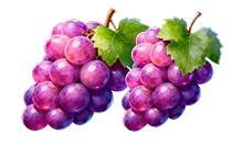 Grape symbol in Chicken Coin slot