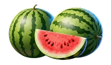 Watermelon symbol in Chicken Coin slot
